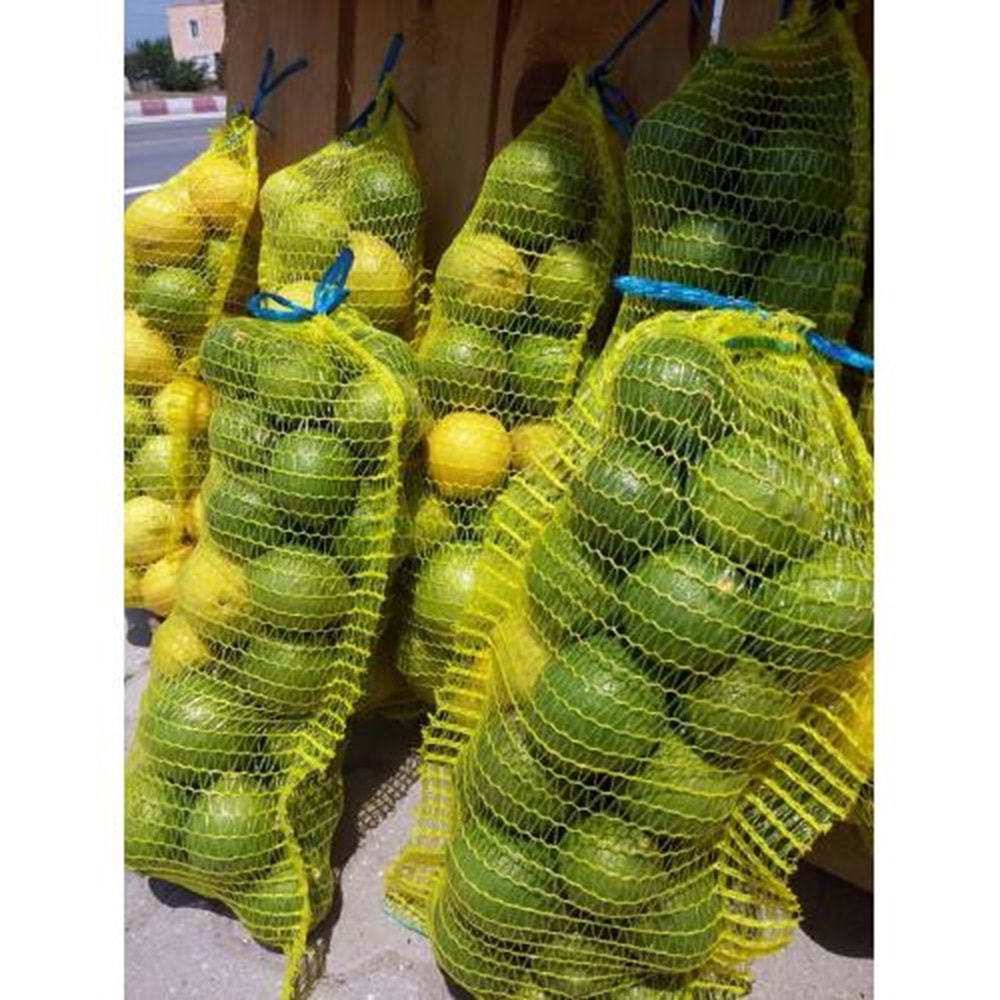 LiMON BAHÇESİNDEN FİLE LİMON 6 KG